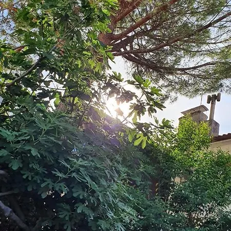 Apartament With Terrace - Gaia - - Center *